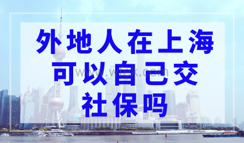 外地人在上海可以自己交社保吗？上海社保缴纳新规