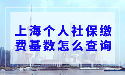 上海个人社保缴费基数怎么查询