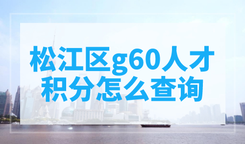 松江区g60人才积分怎么查询？公众号在线查询