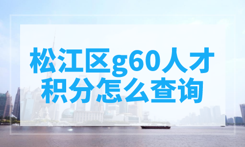 松江区g60人才积分怎么查询