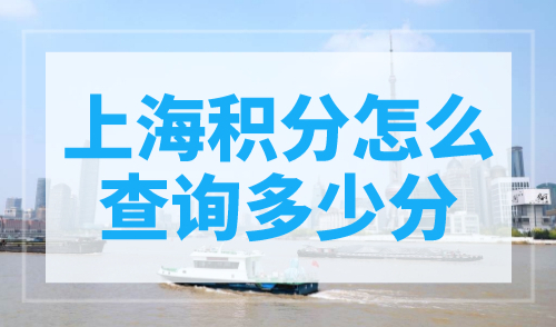 上海积分怎么查询多少分？上海积分计算器在线计算