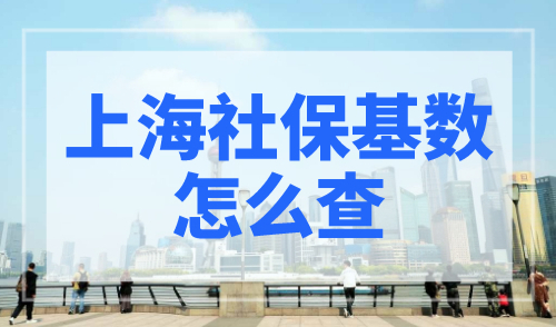 上海社保基数怎么查？附查询流程（图文版）