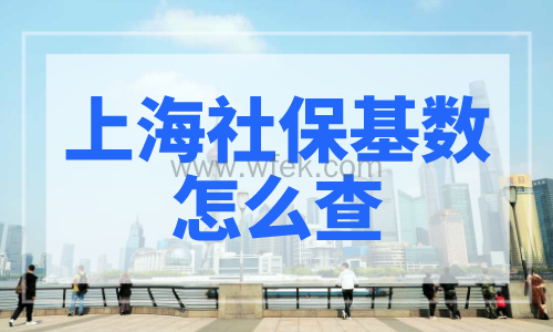 上海社保基数怎么查