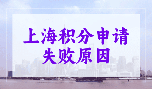 上海积分申请失败原因解析，附案例讲解