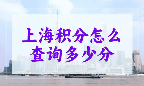 上海积分怎么查询多少分