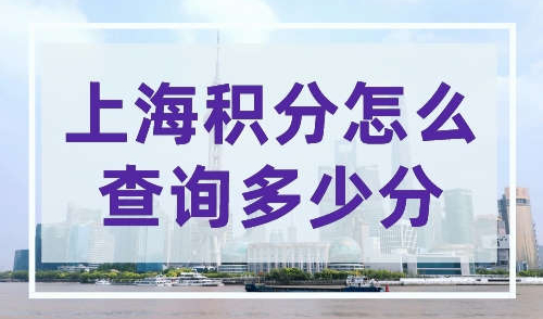 上海积分怎么查询多少分?上海居住证积分查询入口【最新版】