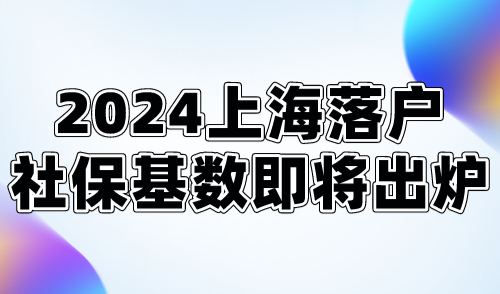 2024上海落户社保基数即将出炉！能否落户成功就看它了！