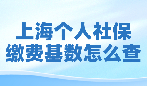 上海个人社保缴费基数怎么查？2024落户上海必看！