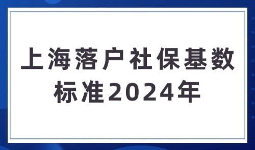 上海落户社保基数标准2024年，1倍、2倍、3倍分别要交多少钱？