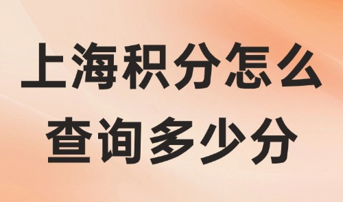 2024上海积分怎么查询多少分？教你6大方式精准查询！