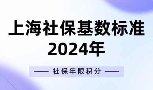 上海社保基数标准2024年：社保年限积分如何查询？最新方法来啦！