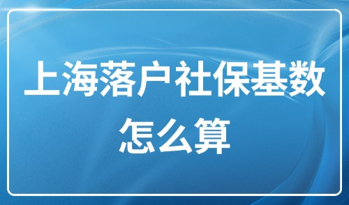 上海落户条件2025年新规：取消上涨！上海落户社保基数怎么算？