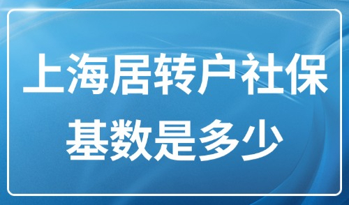上海居转户最新政策2025：上海居转户社保基数是多少？怎么算？