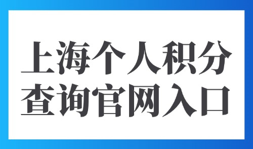 上海积分120分模拟器：2025上海个人积分查询官网入口！