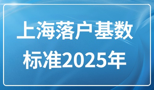 上海落户基数标准2025年：外地人1倍、2倍、3倍要交多少钱？
