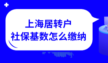 事关2022上海居转户申请，落户社保基数应该怎么缴纳