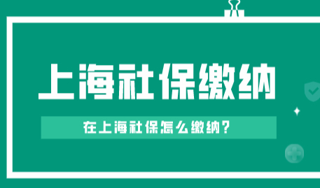 上海积分社保要求最新相关信息；上海社保缴纳标准