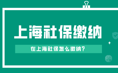 上海积分申请社保缴纳标准