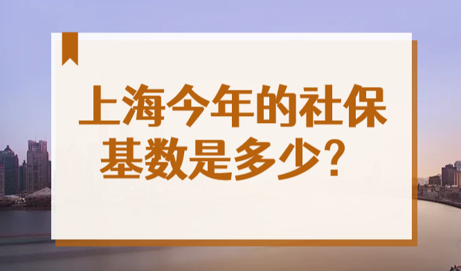 2022上海社保基数是多少？终于定了！！